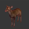 Brown Deer Standing Gracefully on Isolated Gray Background with Realistic Details