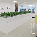 Modern Public Office Space Interior With Row of Green Plants Work Desks And Large Windows