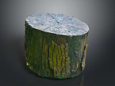 Natural Wooden Stump With Wood Stone Material Featuring Organic Grain And Green Moss Texture 3d model