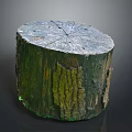 Natural Wooden Stump With Wood Stone Material Featuring Organic Grain And Green Moss Texture