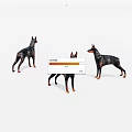 Three Doberman Dog Figurines Standing In Different Poses On White Background 3d model