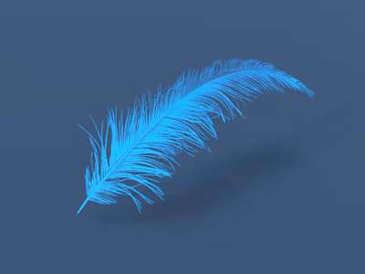 Soft Delicate Blue Feather Decoration For Daily Home Living Use 3d model