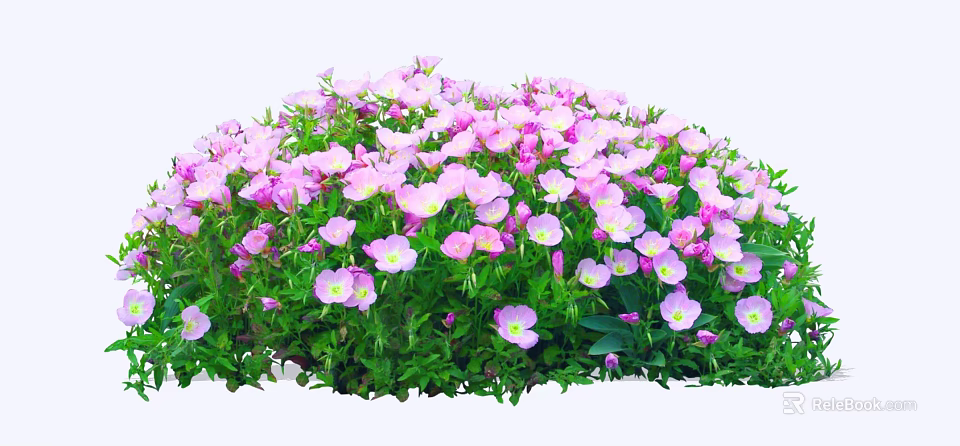 Vibrant Garden Bush With Pink And White Blooming Flowers And Green Leaves 3d model 