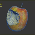 Bitten Ripe Apple Showing Juicy Flesh with Orange Red Skin on Dark Reflective Background