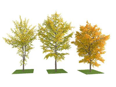 Vibrant Autumn Arbor Trees with Yellow and Orange Foliage in Green Grass 3d model