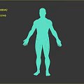 Detailed Blue Human Figure 3D Anatomy Model With Skeletal Lines And Reflective Surface