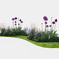 Tall Purple Flowers And Green Grass In Lush Outdoor Garden With Various Plants