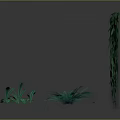 Lush Green Hanging Plants And Various Small Foliage On Dark Reflective Surface