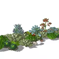Bonsai Potted Plants Featuring Various Colorful Succulents With Small Pebbles