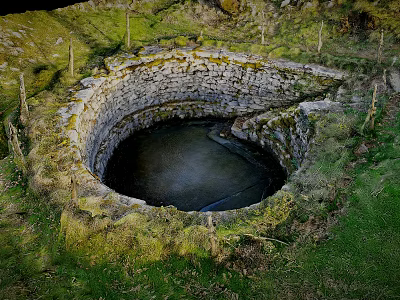Moss Covered Stone Circular Water Pool In Lush Green Grassland Landscape 3d model