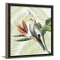 Colorful Parrot Animal Paintings With Tropical Leaves And Flowers In Frames