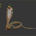 Anthropomorphic Snake Character With Striped Body Wearing Brown Hat Design