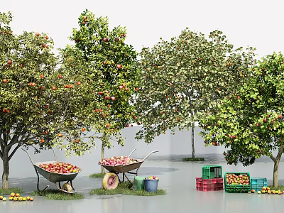 Modern Apple Tree 3d model