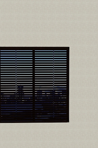 blinds window curtain 3d model