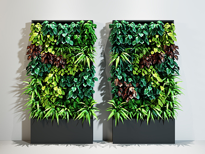 Modern Green Plant Wall Hanging Plant model