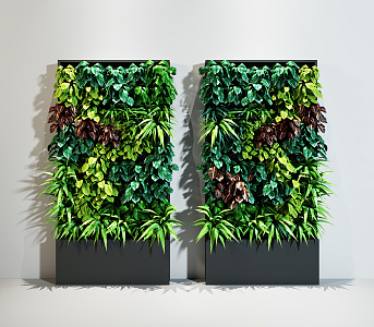 Modern Green Plant Wall Hanging Plant 3d model