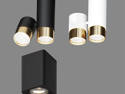 Modern Black And White Downlights Spotlights With Gold Accents And Cylindrical Square Design 3d model