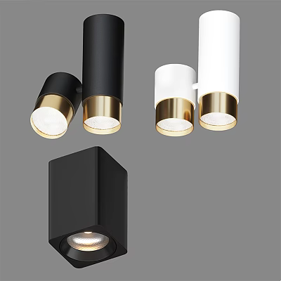 Modern Black And White Downlights Spotlights With Gold Accents And Cylindrical Square Design 3d model