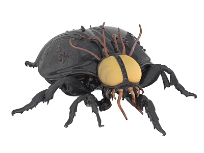Black Beetle Model With Yellow Head Brown Antennae And Spiked Shell 3d model