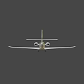 Luxury Private Jet With White Body Green Black Stripes And LUX Lettering