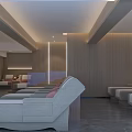 Modern SPA Sauna Interior Design With Comfortable Loungers Wooden Walls Gray Flooring And Plants