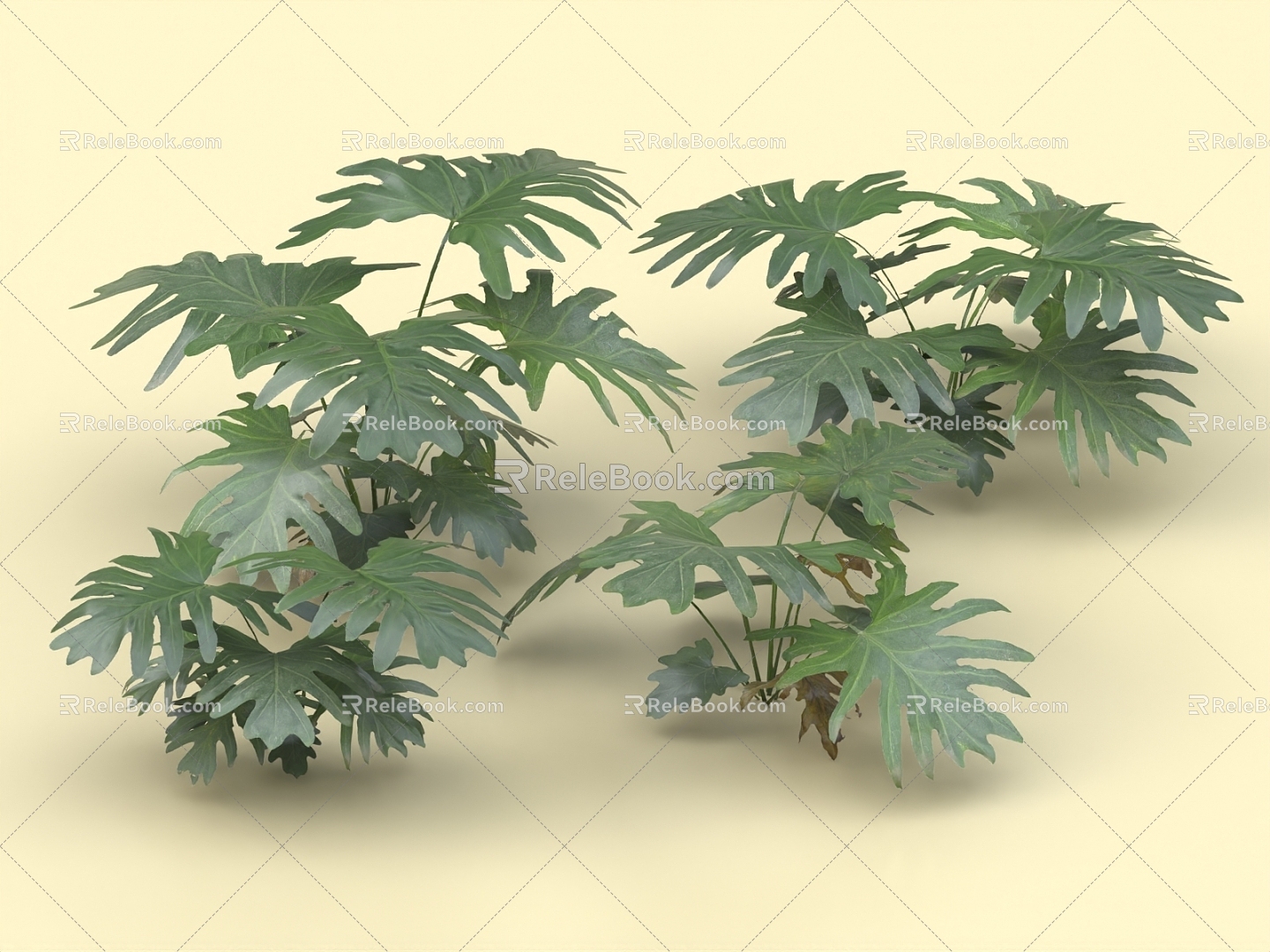 Green rostrum heart leaves green velvet silver leaves green velvet shrubs flowers and plants 3d model