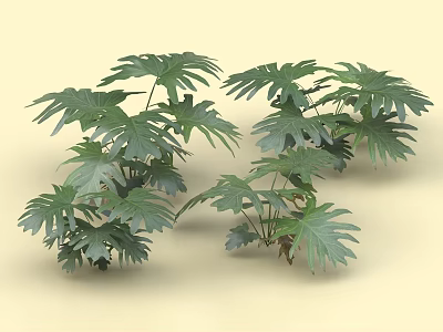 Multiple Leafy Green Shrubs With Broad Leaves For Garden Landscaping Decor 3d model