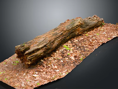 Natural Rustic Wooden Log With Scattered Wood Shavings And Green Leaves On Dark Background 3d model