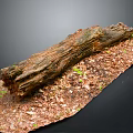 Natural Rustic Wooden Log With Scattered Wood Shavings And Green Leaves On Dark Background