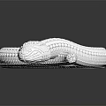 White Textured Coiled Reptile Shaped 3D Model With Reflection On Black Surface 3d model