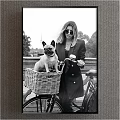 Portrait of Woman With French Bulldog in Bicycle Basket Railing Trees Black and White Style