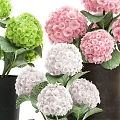 Green Pink White Hydrangea Flowers Arranged in Black Brown Ceramic Vases for Home Decor