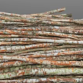 Stacked Arbor Logs With Various Trunks And Diverse Natural Wood Colors