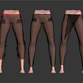Three Stylish Women's Pants With Different Designs And Color Accents