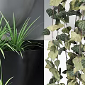 Hanging Potted Plants With Black White Pots And Green Vines For Indoor Decoration
