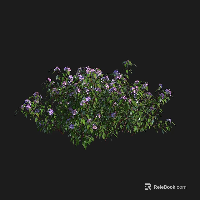 Lush Green Leaf Bush With Purple Flowers On Black Background 3d model