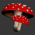 Two Red Mushrooms With White Spots And Wooden Stems On Dark Background