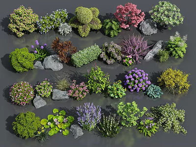Various Colorful Flowers And Plants With Decorative Stones In Garden Collection 3d model