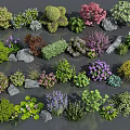 Various Colorful Flowers And Plants With Decorative Stones In Garden Collection