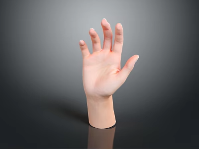 Lifelike Human Hand Model with Palm Up and Fingers Spread on Dark Background 3d model