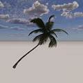 Palm Tree with Leaning Trunk and Green Fronds Against Blue Sky White Clouds Near Pier