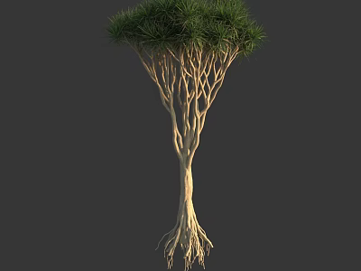 Lush Green Arbor With Exposed Roots And Textured Light Brown Trunk 3d model