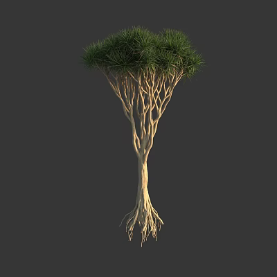 Lush Green Arbor With Exposed Roots And Textured Light Brown Trunk 3d model