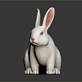 modern rabbit hare rabbit white rabbit 3d model