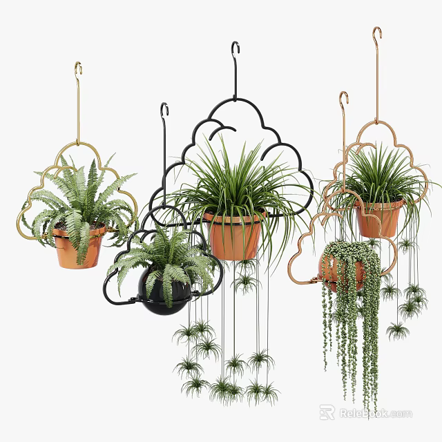 Hanging Basket Plants with Cloud Shaped Designs Ferns Trailing Foliage Black Golden and Terracotta 3d model 