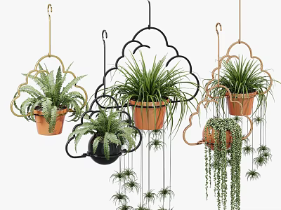 Hanging Basket Plants with Cloud Shaped Designs Ferns Trailing Foliage Black Golden and Terracotta 3d model