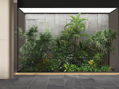 Indoor Plant Combination With Various Green Tropical Plants Against Grey Wall And Glass Frame 3d model