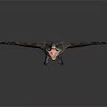 Flying Reptile like Game and Movie Character With Open Wings and Sharp Teeth