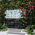 Garden Landscape With Vines Covered Arch Red Flowers Stone Wall And Path