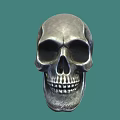 Realistic Detailed Silver Gray Human Skull With Crack On Green Background